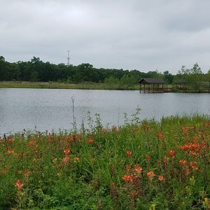 Meet your Posher, Han